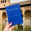 PERFECTION by Vincenzo Latronico
